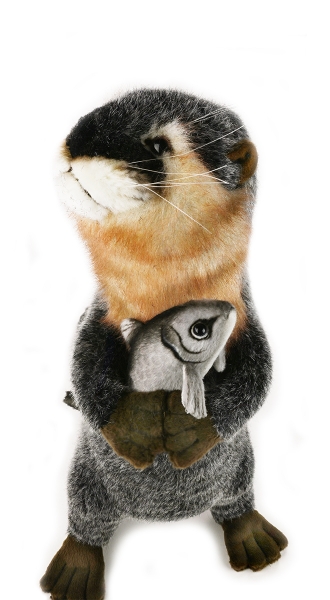 Fischotter aufwartend 37 cm